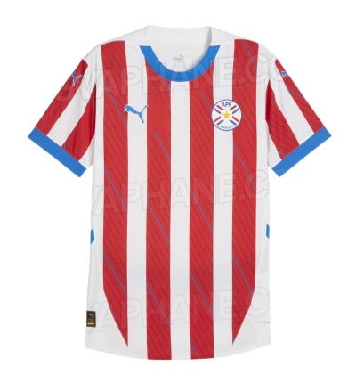 Arte da categoria Copa América